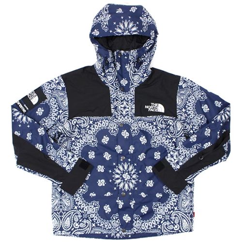 Supreme North Face Paisley Supreme X The North Face Bandana