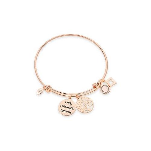 Tree Argento Rose Gold Nomination Bracelet Family Tree Nomination