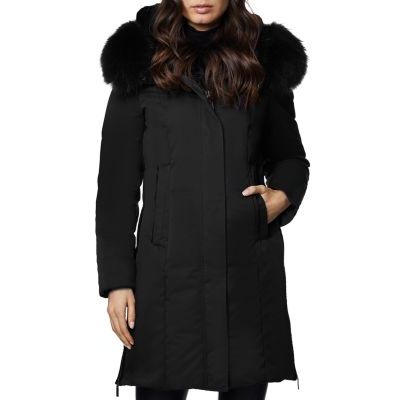 dawn levy luna jacket